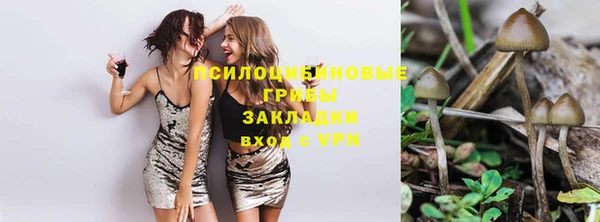 прущая мука Магас