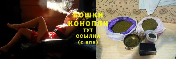 PSILOCYBIN Майский