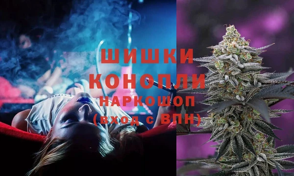 PSILOCYBIN Майский