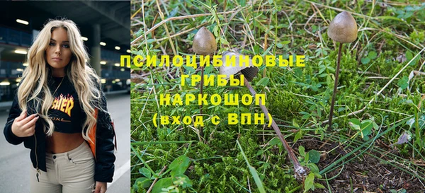 PSILOCYBIN Майский