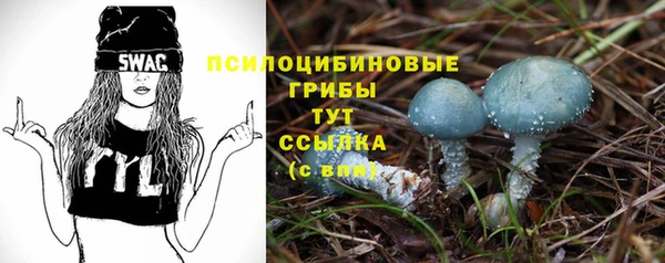 прущая мука Магас