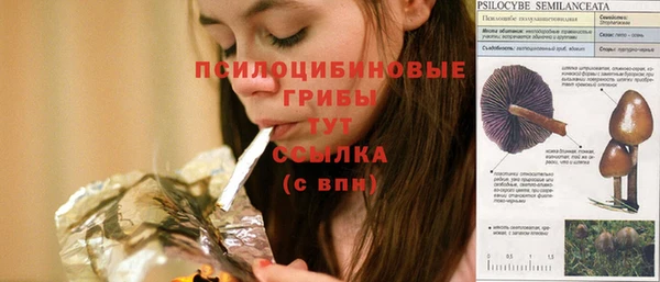 спиды Новозыбков
