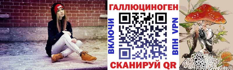 сайты даркнета клад  Шимановск  Псилоцибиновые грибы Cubensis 